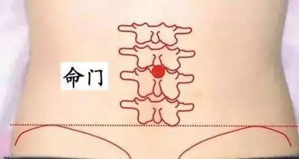 养生5 上班族腰椎酸痛舒解 穴位按摩 1分钟学会 自己可做丨腰椎按摩法视频