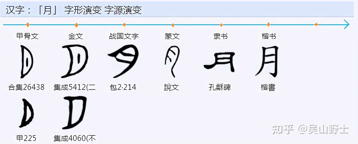 你知道月字背后的逻辑导向吗 知乎