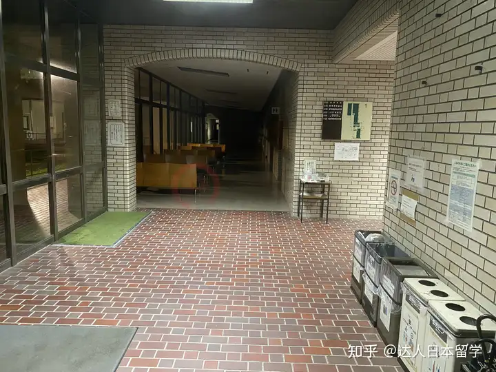 达人日本,日本留学