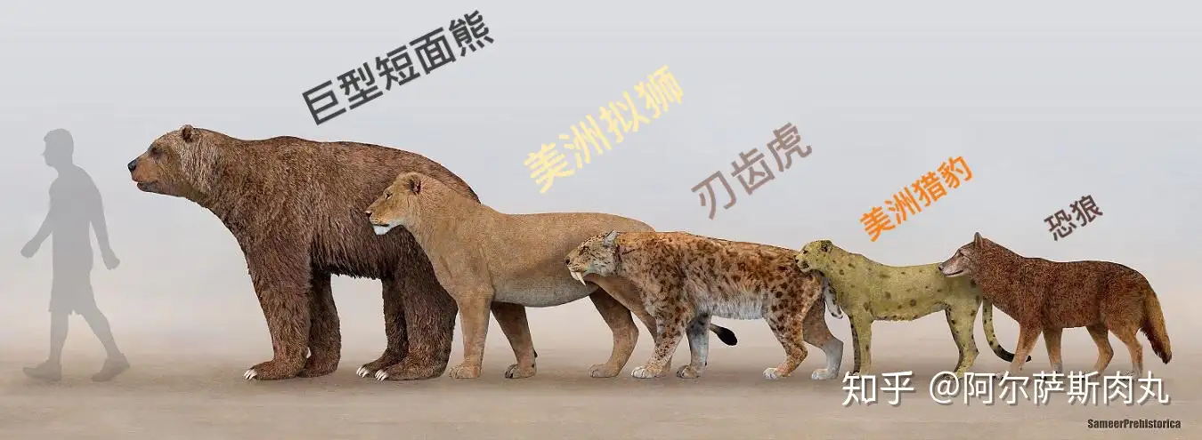 Rise Of Mammals丨兽族崛起 8 番外 一鸣惊豹 知乎