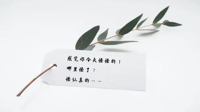 ppt结尾怎么做才能有创意（ppt结尾页幽默结束语）