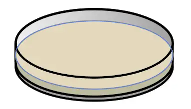 adobe illustrator素材-培养皿 - 知乎