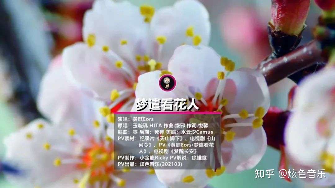 古风歌 梦遣看花人 带你入画境 我随细雨游奕 画中傍柳絮飘摇 知乎