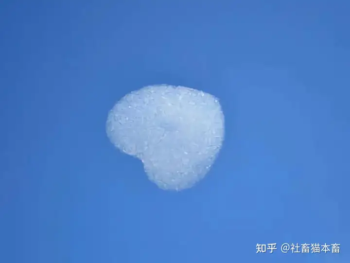 怎么策划有趣又特别的端午活动？