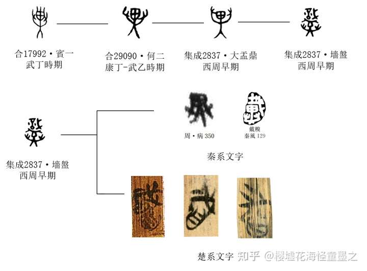 我们通过梳理一下[异]字,也发现了{戴}甲骨