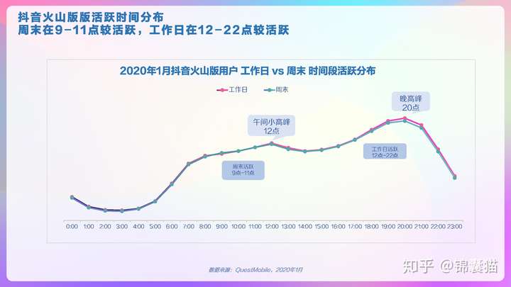 2020抖音用户画像分析