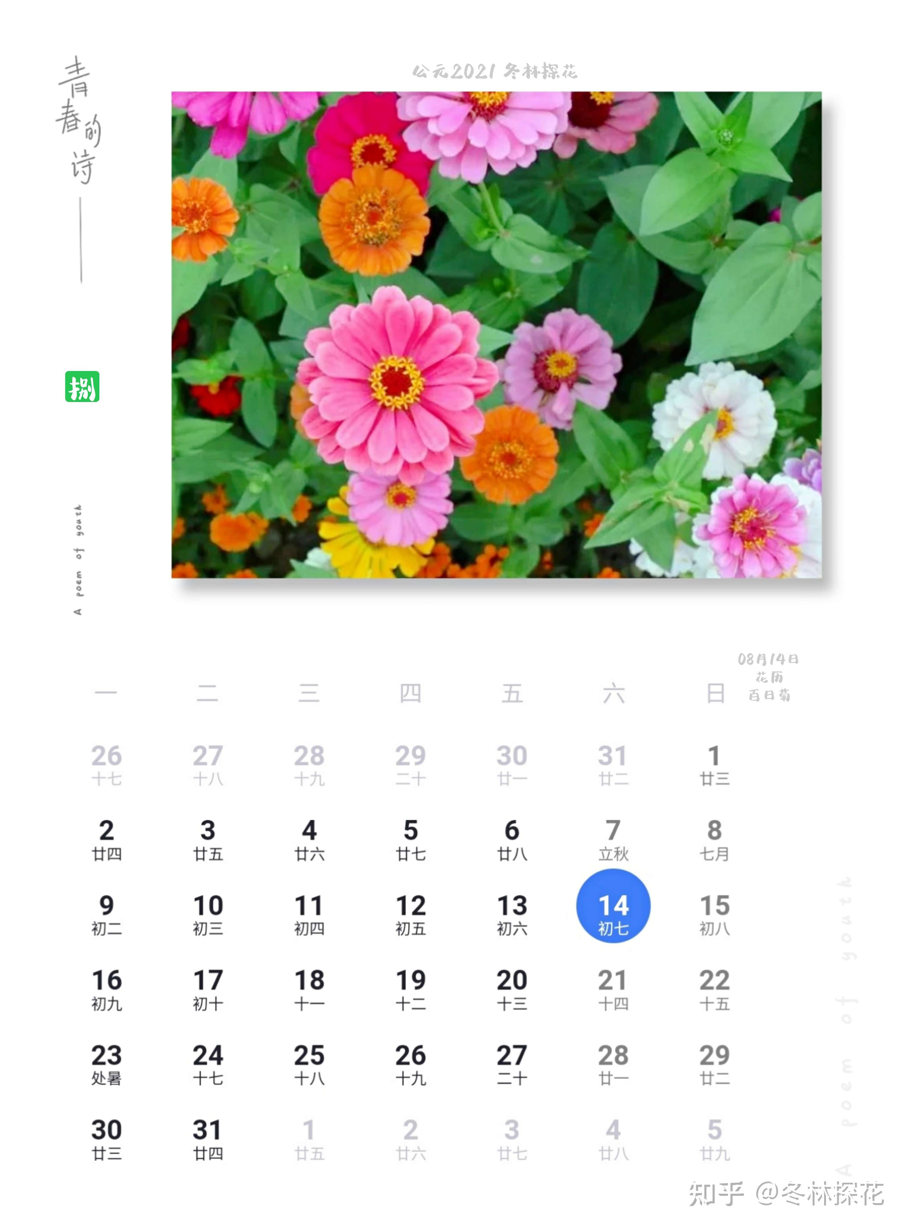 发布于 2021-08-14 07:38