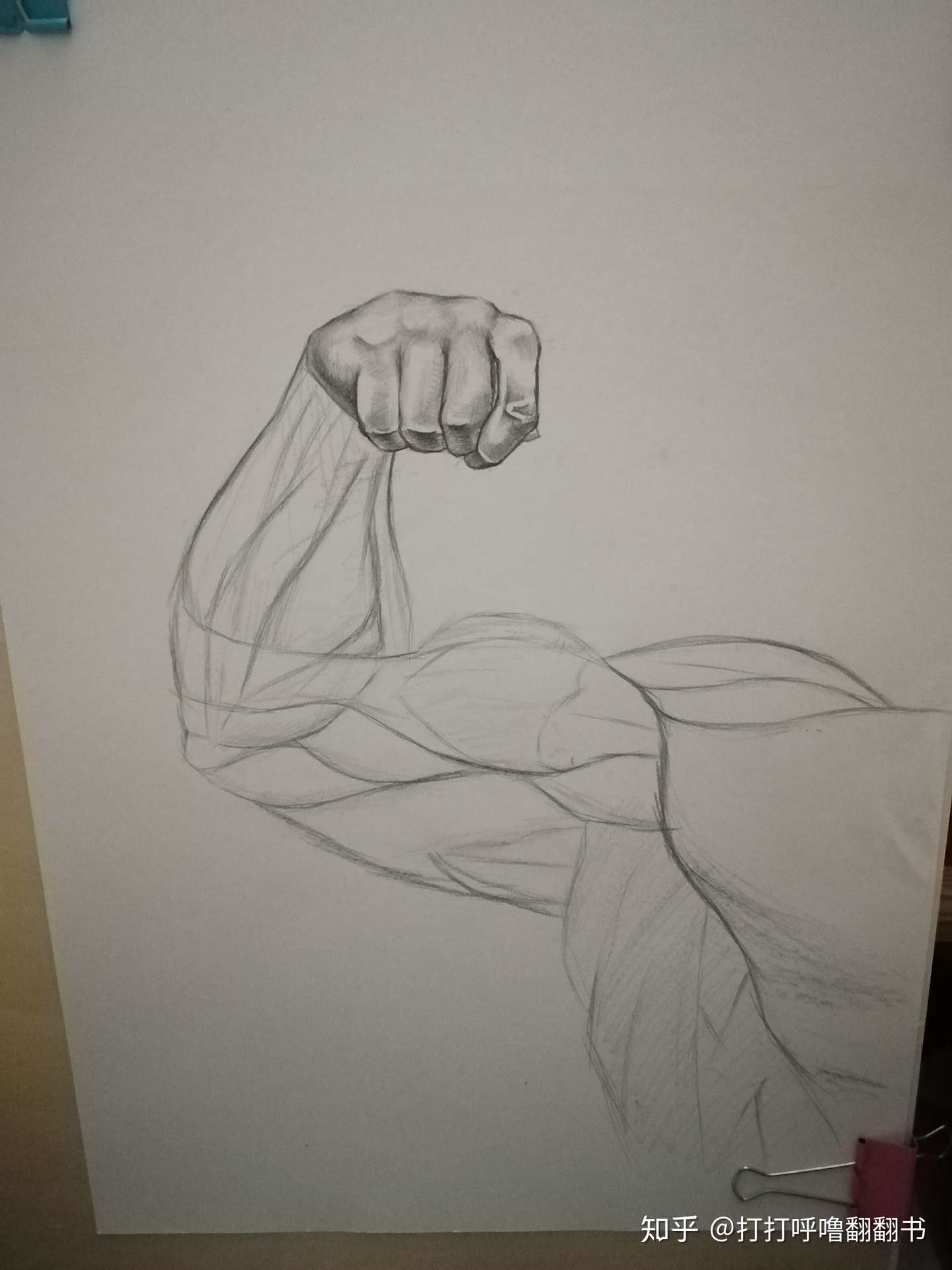 手臂肌肉图解二 知乎