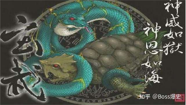 民间常说 左青龙右白虎 前朱雀后玄武 那中间神兽是什么 知乎