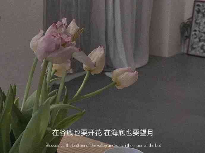 有哪些神仙句子让你记到现在的?插图74 有哪些神仙句子让你记到现在的?插图74