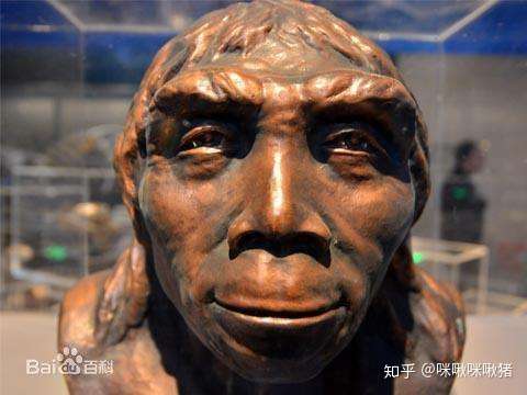 我可能真的是穿越过来的原始人! 然后我就铁了心要戴牙套!