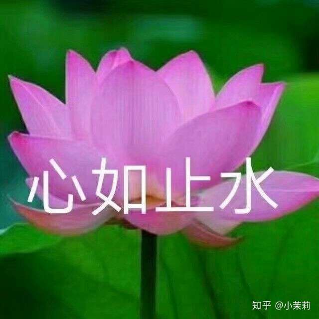 有哪些有意思的社交软件头像?