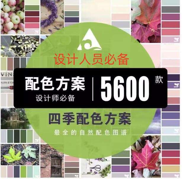图片[1]-5600款设计排版配色方案【附教程】-PS设计颜色搭配色卡实物色彩搭配【电商热销841】-暗冰资源网