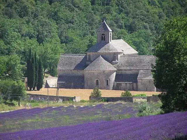 使用精油需慎重