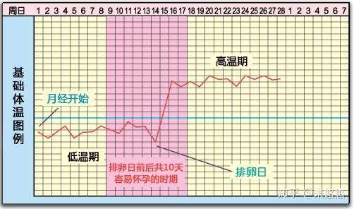 孕妈分享 教你找准排卵日 轻松怀上健康宝宝 知乎