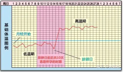 孕妈分享 教你找准排卵日 轻松怀上健康宝宝 知乎 孕妈分享 教你找准排卵日 轻松怀上健康宝宝 知乎