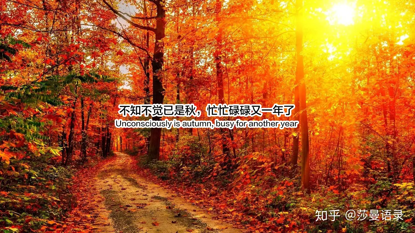 迎接秋天的温柔句子 不知不觉已是秋 忙忙碌碌又一年 知乎