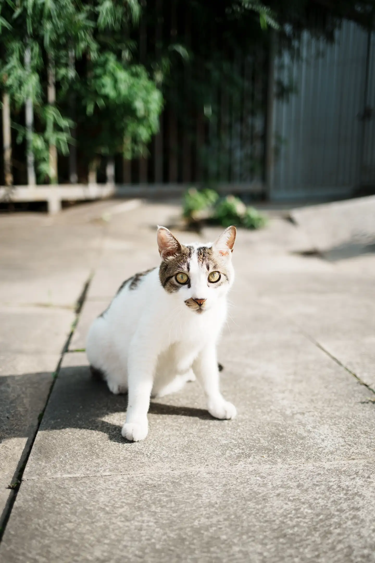 器材篇】玄学镜头——佳能EF 35mm f/2 IS USM - 知乎