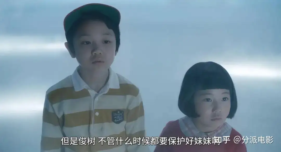 《花便当》转世重生！有村架纯新片太好哭了