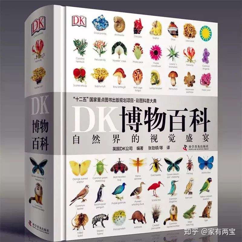 Dk博物大百科 知乎