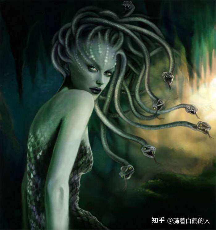 假如中年美杜莎严重脱发导致蛇咬人,要负刑事责任吗?