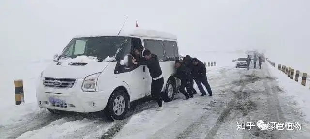 青海祁连突降大雪，上千辆车被困，西宁市民组织司乘人员全力自救