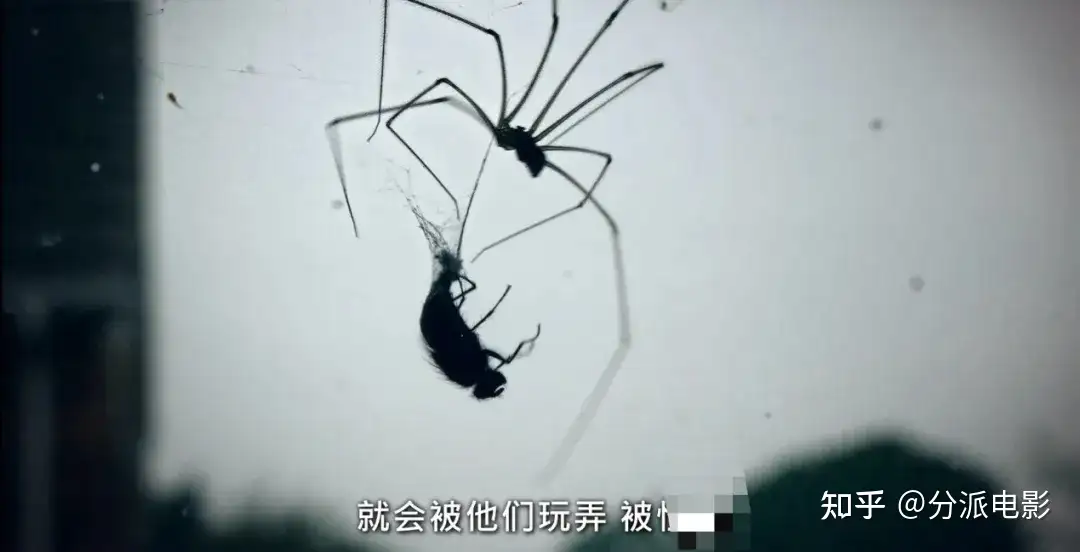 《以幸存者之名:深入韩国惨案》尺度全开!这种伤痛,绝不能淡忘