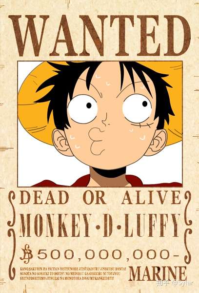 求草帽海贼团成员单个人的图片