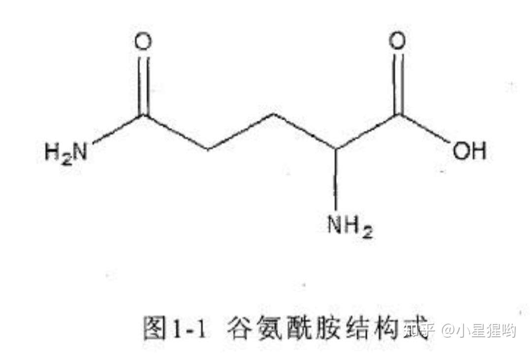 谷氨酰胺的神奇作用 知乎