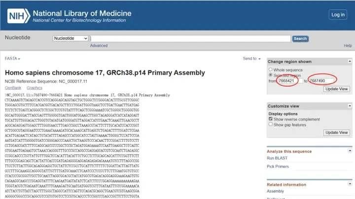 《NCBI保姆级使用教程（包含如何查找CDS、启动子、5'UTR和3'UTR、lncRNA序列）》