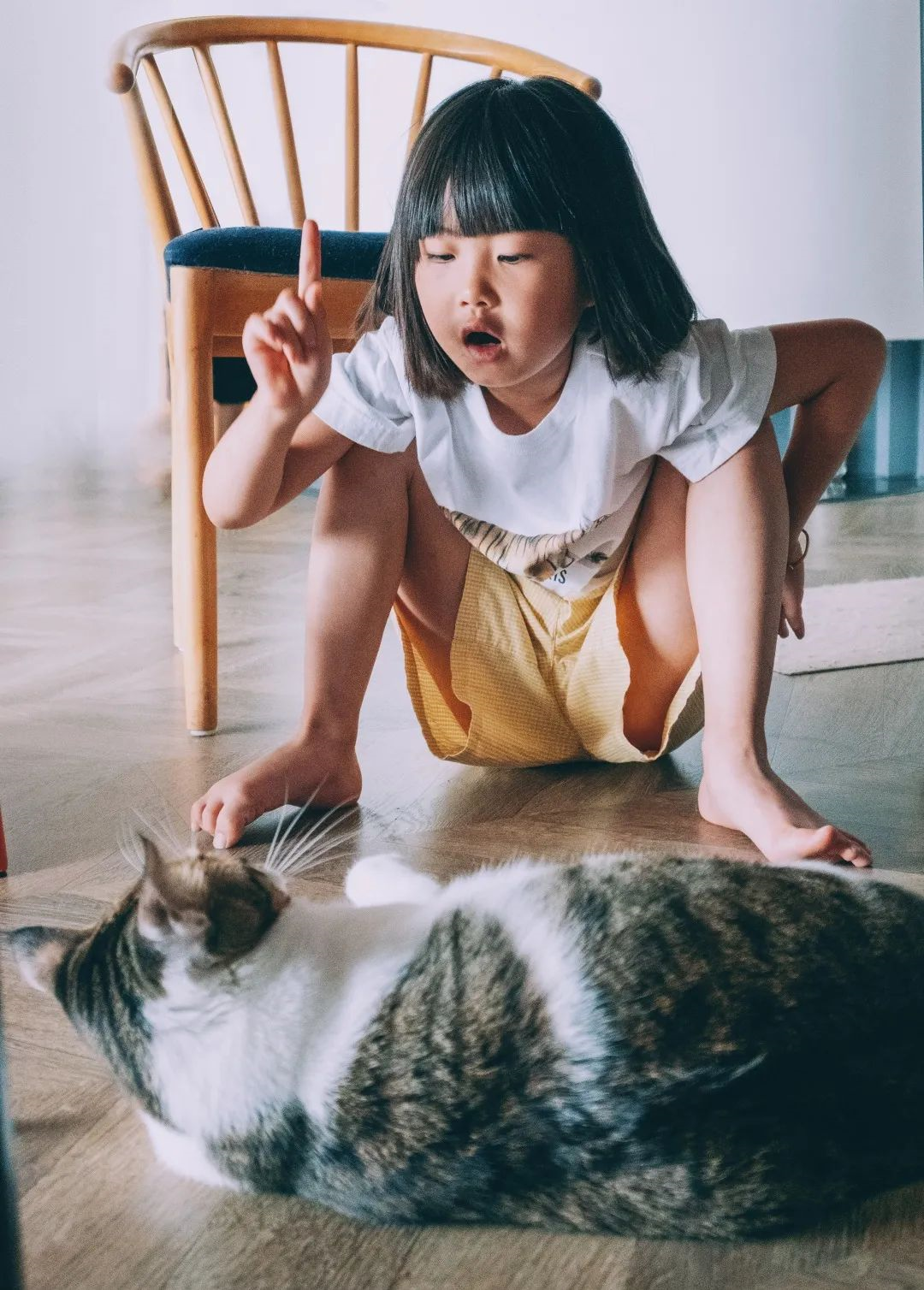 100㎡不规则户型,住一狗二猫三人,改出了豪华厨房和花房- 知乎