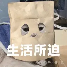 大厂程序员：AI正在将我们变成高速流水线工人，受不了了