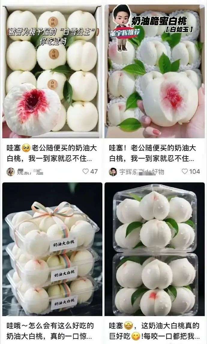 有问题找小红书，也不行了...