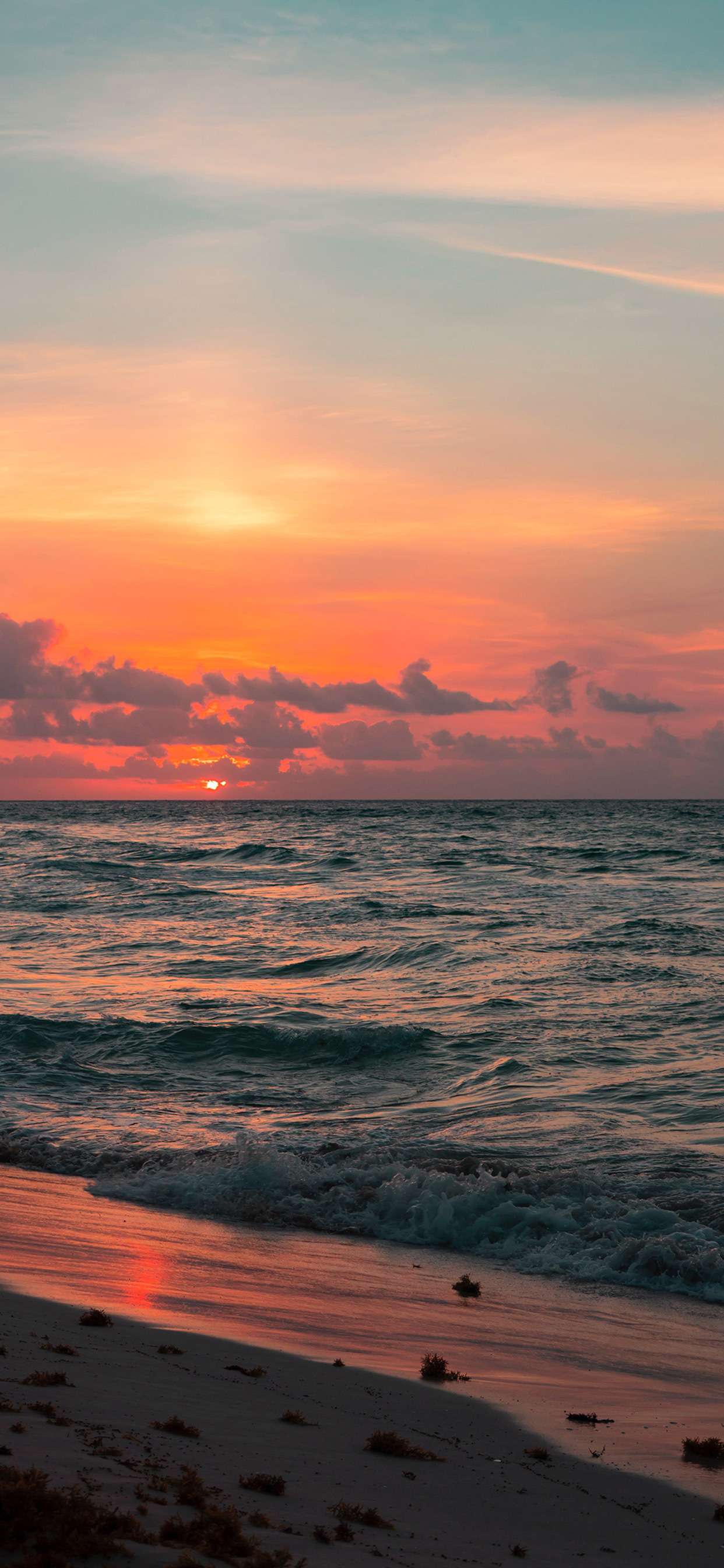 桑葚酿酒 的想法: 落日黄昏的绝美文案 | #想法打卡挑战赛第… - 知乎