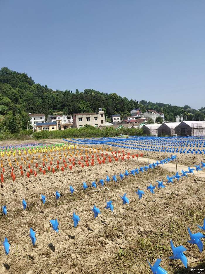 哪吒n01一同前行 春花灿烂 夏花热烈 秋花静美 冬花温情 知乎