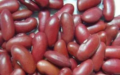 能有效减肥的几种高纤食物