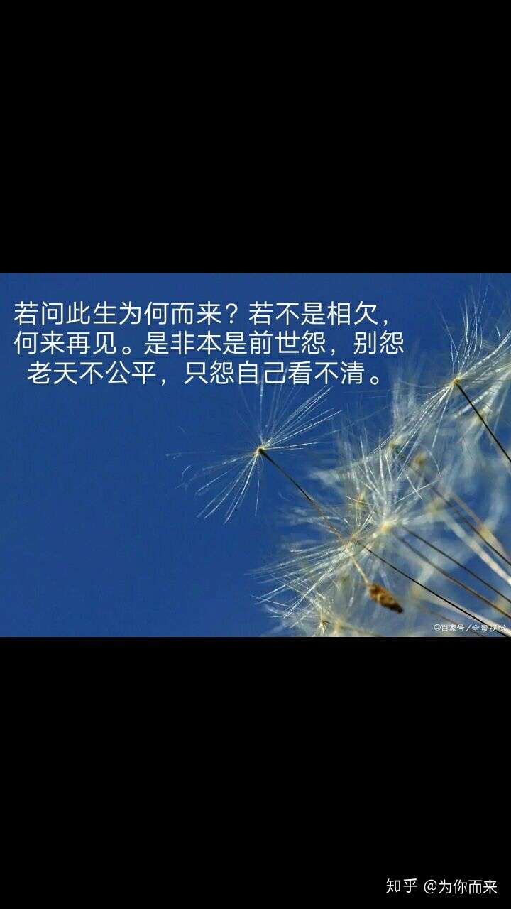 人活在世为何这样难为什么