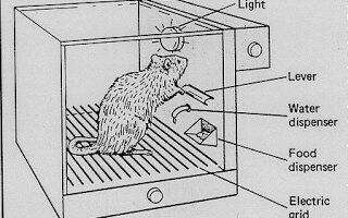 v2-ba709be91197e90a342e2cd7ca402ec3_qhd.jpg
