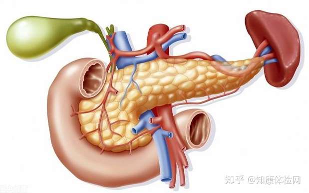 我的胆囊炎本来是小问题 外科医生为啥一个劲的要我切胆囊 知乎
