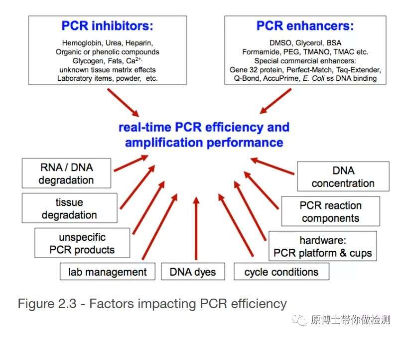 做qpcr 不要钻进 唯ct值 的牛角尖 知乎