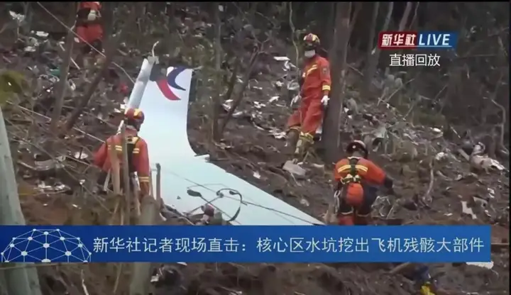 坠机74小时！搜寻到遇难者遗物、遗体残骸、飞机残骸