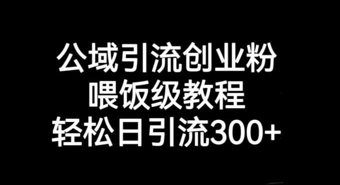 公域引流创业粉【引流技巧】保姆级教程-江湖学苑副业项目网江湖学苑