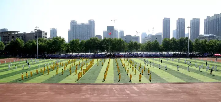 大外事成立太极拳队，师生都能参加，快来！快来！插图12
