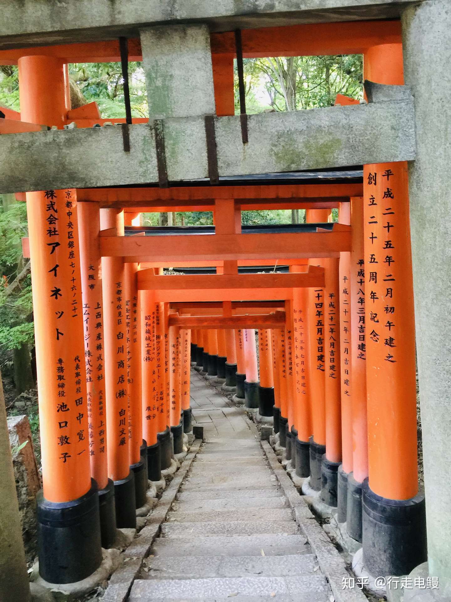 伏见稻荷神社 神道教的巅峰道场 知乎