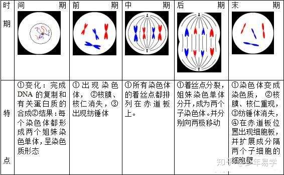 知乎专栏