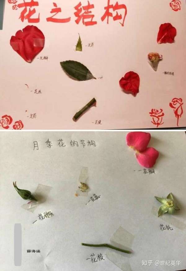 我与春天有个约会 走进春天 亲近自然 花开季节 知乎