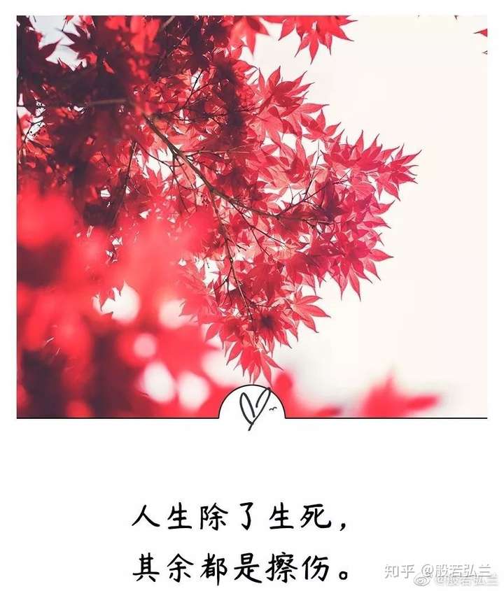 人生除了生死其余都是擦伤