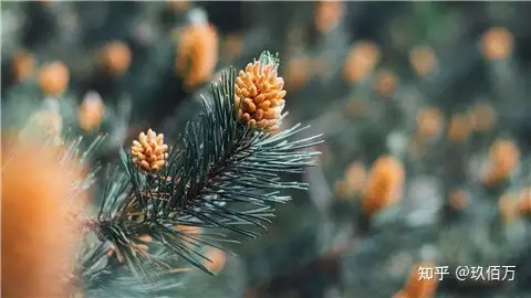 早晨温心祝福语（早晨温心祝福语图片）