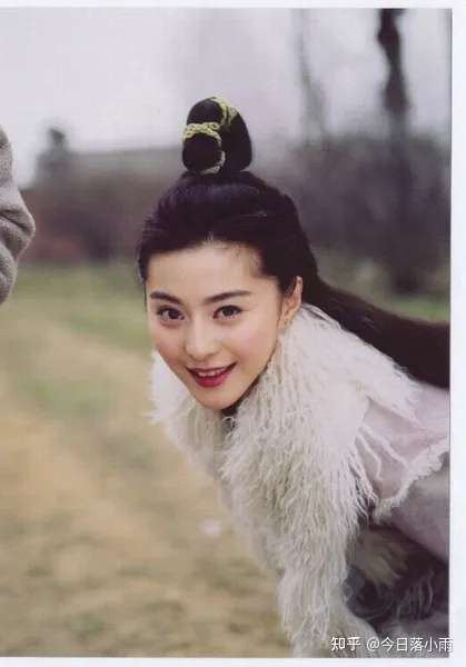 为什么有人觉得范冰冰不好看呢