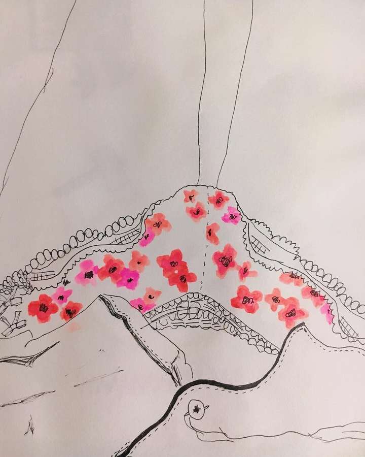 如何解读雪莉的ins账号的画